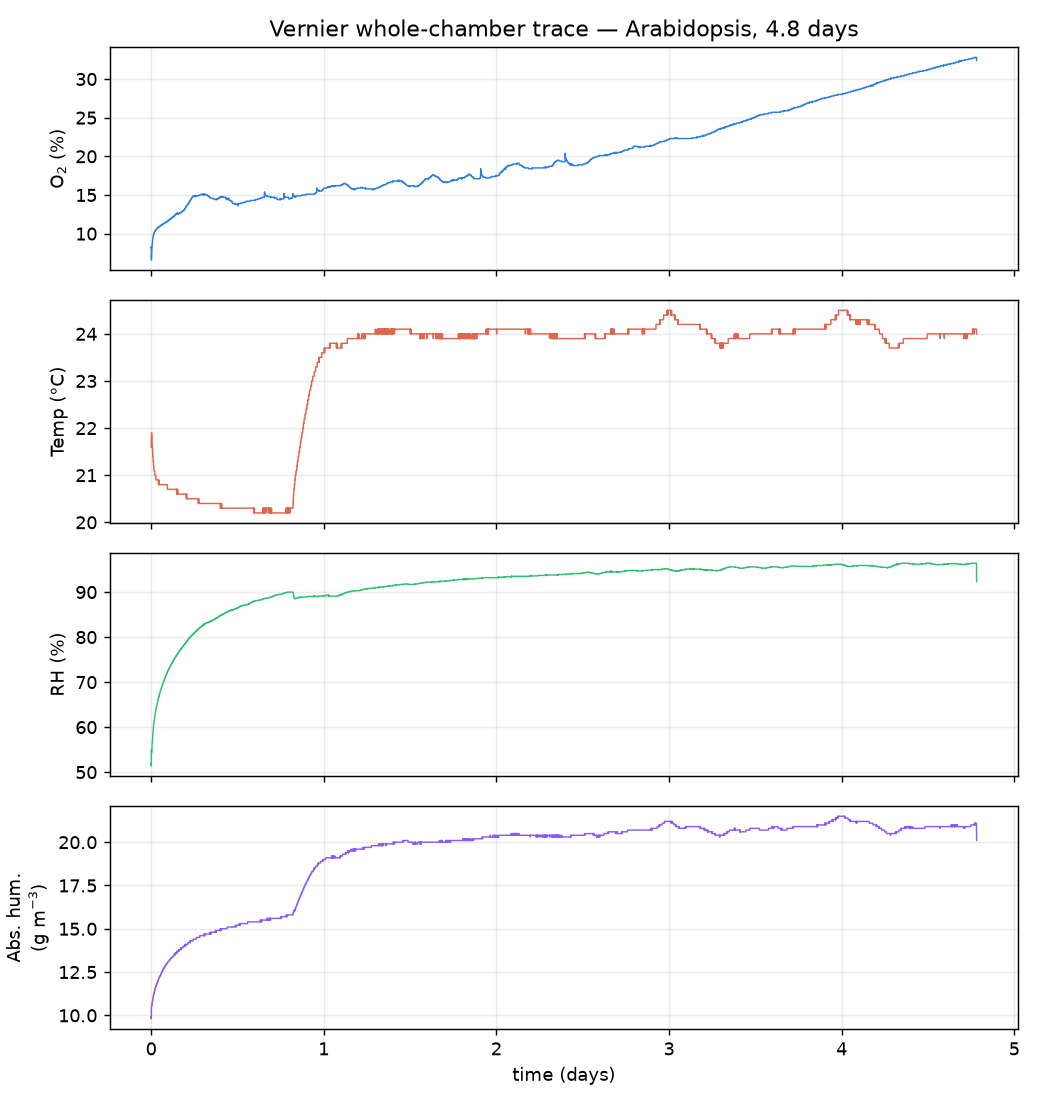 Vernier whole-chamber trace: O2, temperature, relative and absolute humidity over 4.8 days.