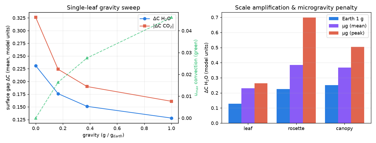 Single-leaf gravity sweep and the three-scale amplification.