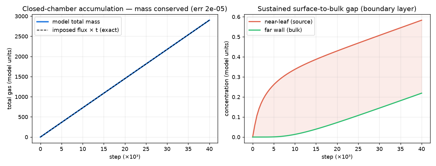 Closed-chamber mass conservation and the sustained surface-to-bulk concentration gap.