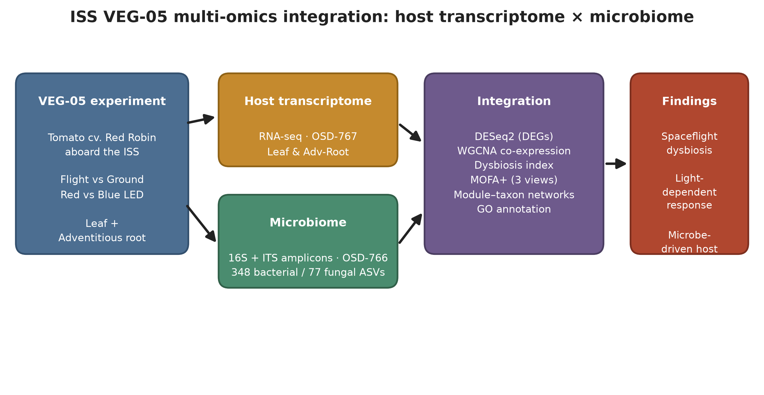 VEG-05 study design and multi-omics integration overview.