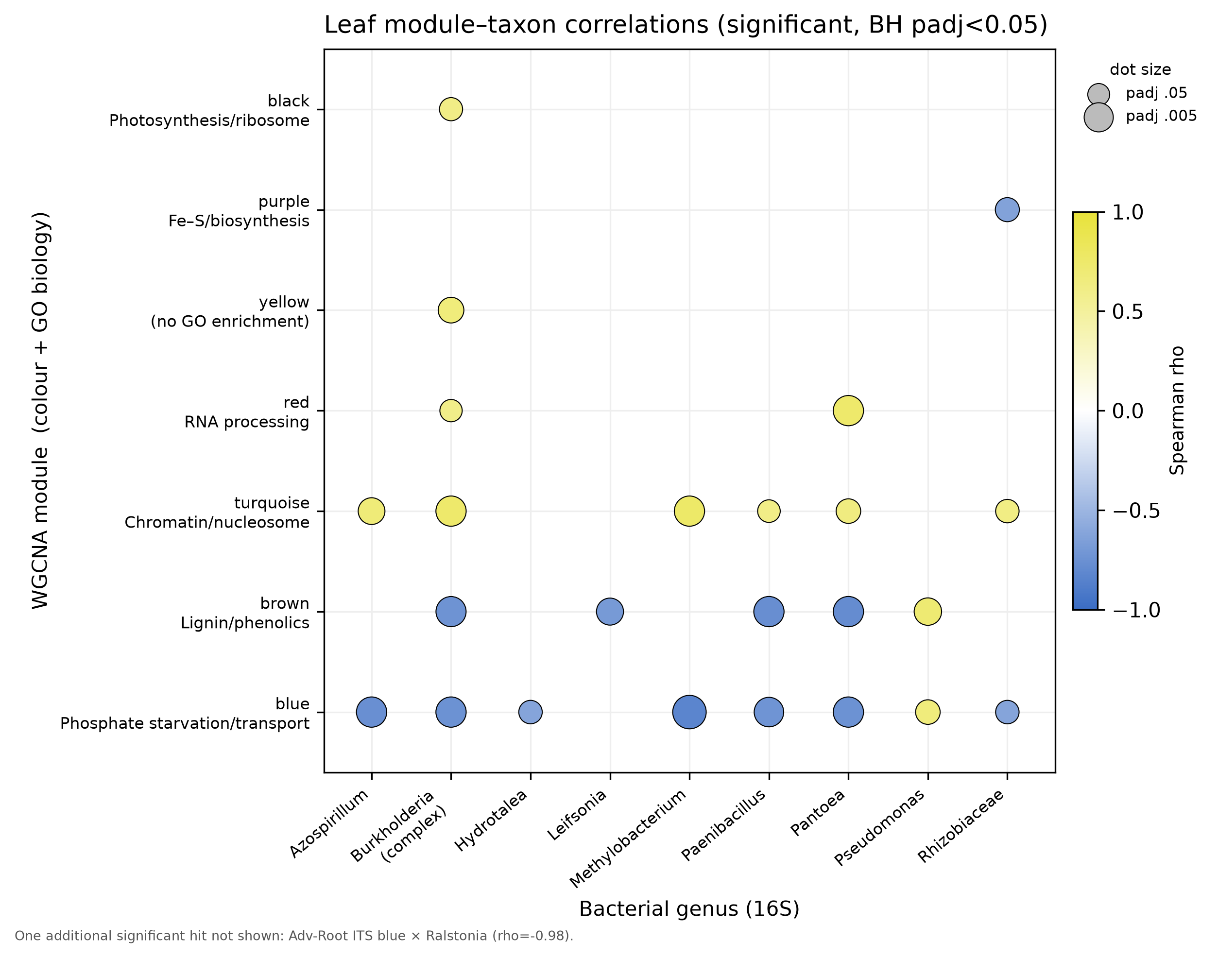 Module–taxon correlation network linking host modules to specific bacteria.